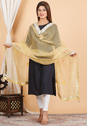 Embroidered Organza Dupatta in Beige