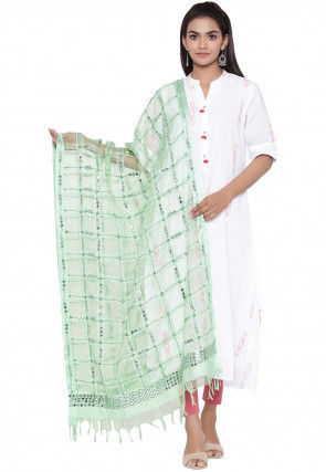 Embroidered Organza Dupatta in Pastel Green