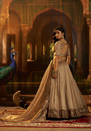 Embroidered Organza Lehenga in Beige