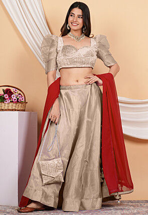 Embroidered Organza Lehenga in Beige