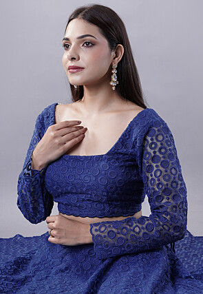 Embroidered Organza Lehenga in Blue