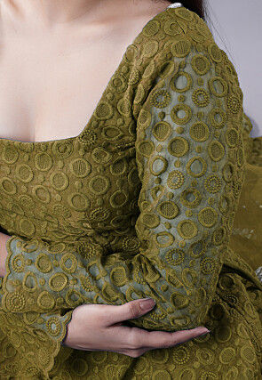 Embroidered Organza Lehenga in Dusty Green