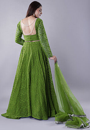 Embroidered Organza Lehenga in Green