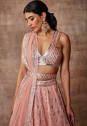 Embroidered Organza Lehenga in Peach
