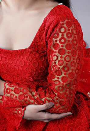 Embroidered Organza Lehenga in Red