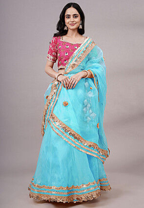Embroidered Organza Lehenga in Sky Blue