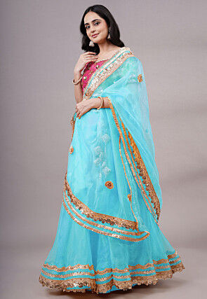 Embroidered Organza Lehenga in Sky Blue