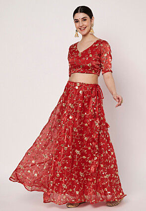 Embroidered Organza Skirt in Red