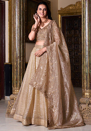 Embroidered Tissue Lehenga in Fawn