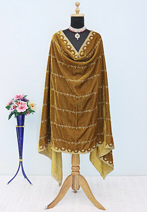 Embroidered Velvet Dupatta in Beige