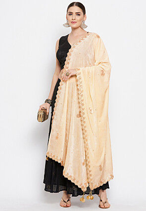 Embroidered Velvet Dupatta in Light Beige