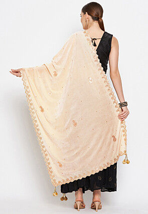 Embroidered Velvet Dupatta in Light Beige