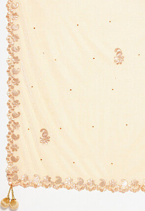 Embroidered Velvet Dupatta in Light Beige