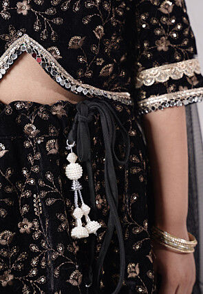 Embroidered Velvet Lehenga in Black