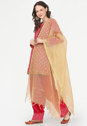 Embroidered Velvet Punjabi Suit in Fuchsia