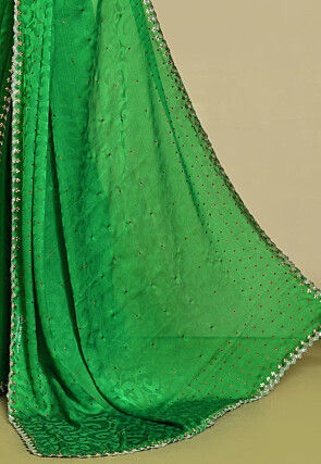 Hand Embroidered Chiffon Brasso Saree in Green