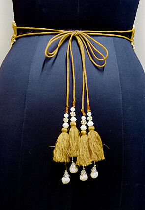 Hand Embroidered Georgette Adjustable Waist Belt in Golden