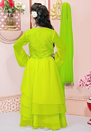 Hand Embroidered Georgette Lehenga in Light Green