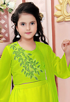 Hand Embroidered Georgette Lehenga in Light Green