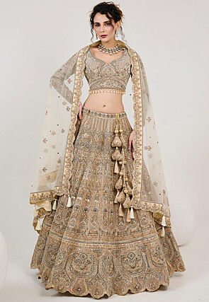 Hand Embroidered Net Lehenga in Beige