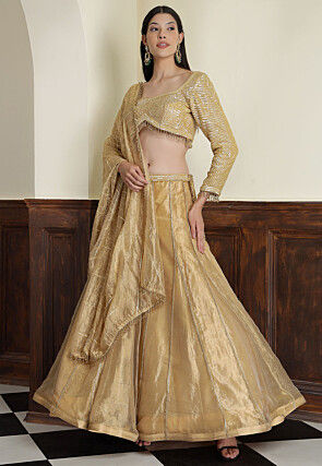 Hand Embroidered Tissue Lehenga in Light Golden