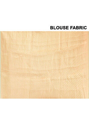 Handloom Pure Tissue Banarasi Saree in Light Green