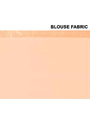 Handloom Pure Tissue Silk Banarasi Saree in Light Beige