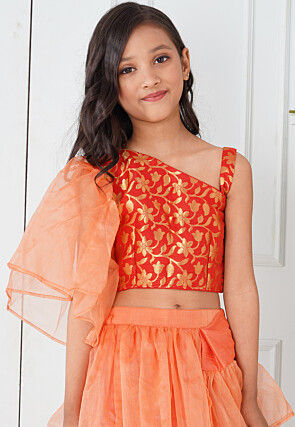 Pre-Stitched Organza Saree in Peach