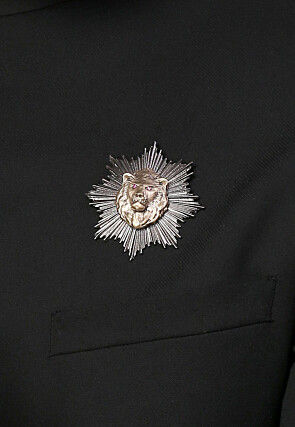 Royal Leader Metallic Brooch