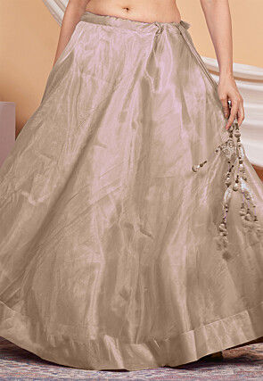 Solid Color Organza Skirt in Beige