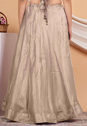 Solid Color Organza Skirt in Beige