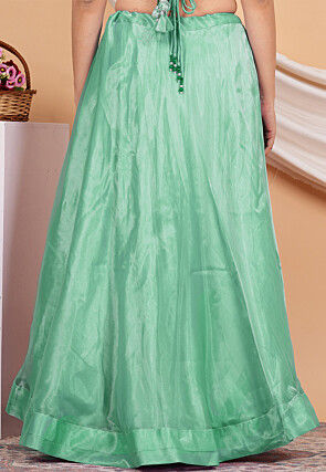 Solid Color Organza Skirt in Pastel Green