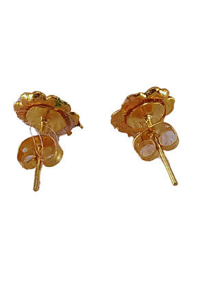 Stone Studded  Earring