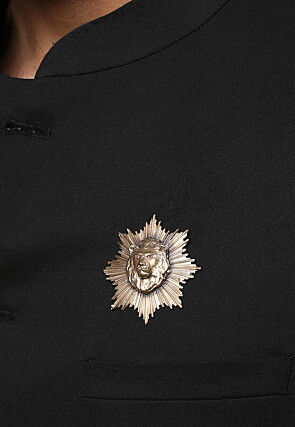 The Lion Power Metallic Brooch