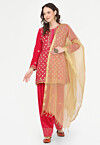 Aari Embroidered Velvet Punjabi Suit in Pink