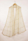 Embellished Chiffon Dupatta in Cream