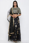 Embellished Net Shimmer Dupatta in Black