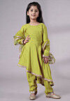 Embellished Shantoon Punjabi Suit in Olive Green