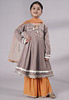 Embellished Velvet Pakistani Suit in Light Grey