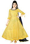 Embroidered Chanderi Silk Gown in Yellow