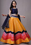 Embroidered Dupion Silk Lehenga in Mustard