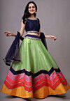 Embroidered Dupion Silk Lehenga in Pastel Green