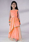 Embroidered Georgette Gown in Peach