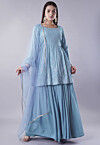 Embroidered Georgette Lehenga in Sky Blue