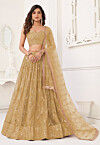 Embroidered Net Lehenga in Beige