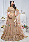 Embroidered Net Lehenga in Beige
