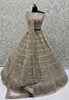 Embroidered Net Lehenga in Beige