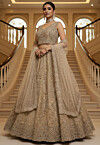 Embroidered Net Lehenga in Beige