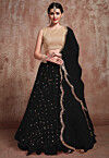 Embroidered Net Lehenga in Black