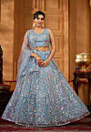 Embroidered Net Lehenga in Blue